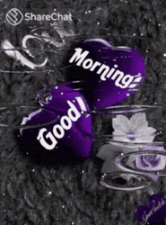 Rainy Good Morning Purple Heart GIF