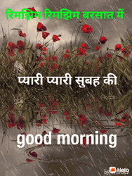 Rainy Good Morning With Red Flowers GIF