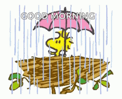 Rainy Good Morning Woodstock Snoopy GIF