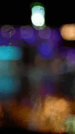Rainy Night Circular Lights GIF