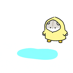 Rainy Puddles Tuesday GIF