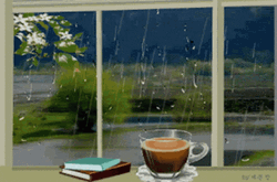 Rainy Saturday Cup Of Coffee And Books GIF