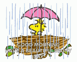 Rainy Saturday Peanuts Woodstock GIF