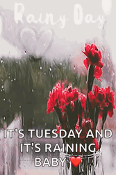 Rainy Tuesday It's Raining Baby GIF