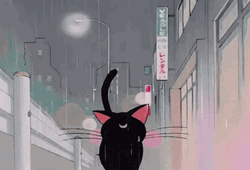 Rainy Wednesday Sailor Moon Cat Luna GIF
