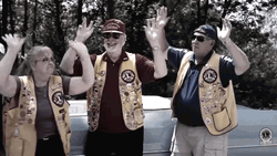 Raise It Lions Club GIF