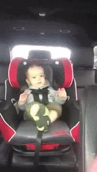 Raise The Roof Car Baby  GIF