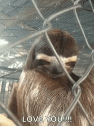 Raising Eye Brows Funny I Love You GIF