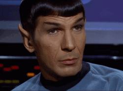Raising Eyebrow Spock Star Trek GIF