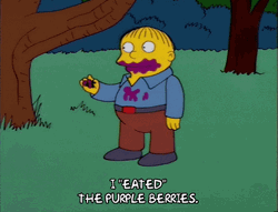 Ralph Wiggum I Eated The Purple Berries GIF