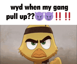 Rambo Wyd When My Gang Pull Up GIF