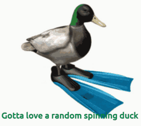 Ramdom Duck Spinning  GIF