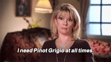 Ramon Ramona Need Pinot Grigio All Times GIF