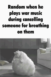 Random Cat War Music Meme GIF