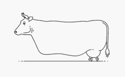 Random Cow Weird Feet Walk GIF