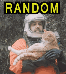 Random Scratching Cat Rescue Man GIF