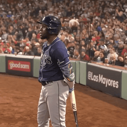 Randy Arozarena Just Standing There GIF