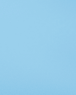 Randy Arozarena Rays Wins GIF