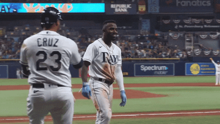 Randy Arozarena Trip GIF