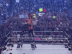 Randy Orton Ladder Dive GIF