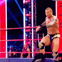 Randy Orton Punt WWE GIF