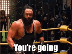 Randy Savage Got 3 Minutes Playtime GIF