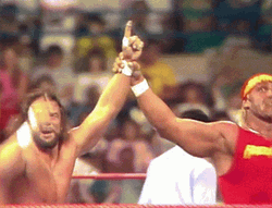 Randy Savage Hulk Hogan Image Compilation GIF