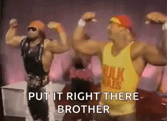 Randy Savage Hulk Hogan Shaking Hands GIF