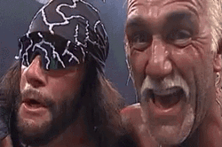 Randy Savage Hulk Hogan That Was Sweet GIF