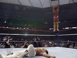 Randy Savage Jumping From Rope GIF