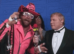 Randy Savage Machoman Accept It GIF