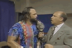 Randy Savage One Million Percent Correct GIF