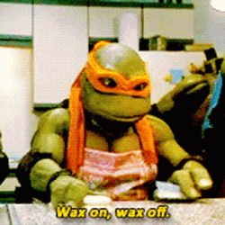 Raphael Doing Wax On Wax Off GIF