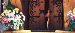 Rapunzel Opening The Windows GIF