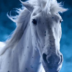 Rare Stud Ice Unicorn GIF