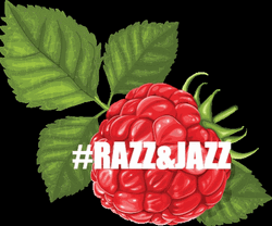 Raspberry Plastic Art Design GIF