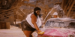 Rasputia Sexy Car Wash GIF