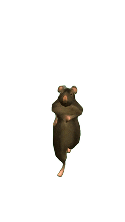 Rat Dance Mouse GIF