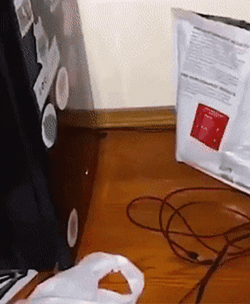 Rat Dragging The Knife Meme GIF