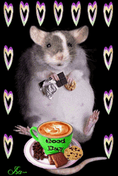 Rat Having His Coffee Time Meme GIF