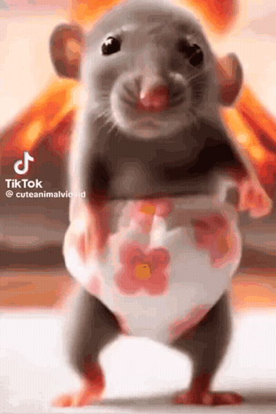 Rat In Diaper Standing GIF