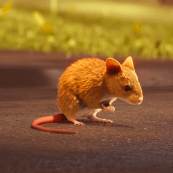 Rat Showering Conan GIF