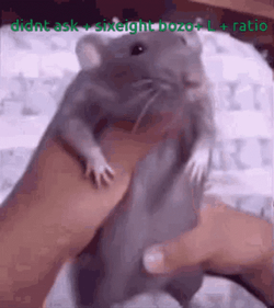 Rat Showering Dancing GIF