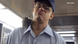 Rat Showering Race Until Die GIF