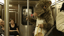 Rat Showering Subway Train GIF