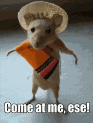 Rat Wear Cute Costume GIF