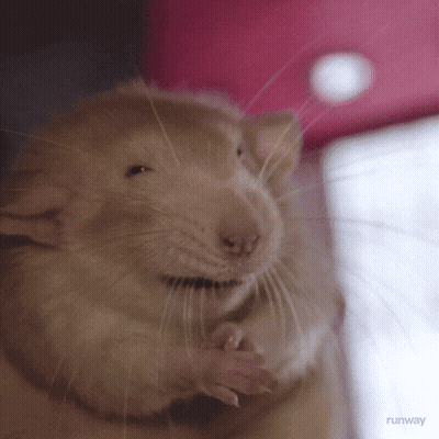 Rat With Runway Text GIF