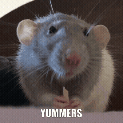 Rat With Yummers Text GIF