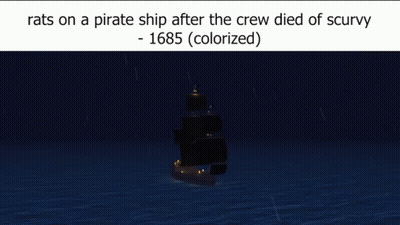 Rats On A Pirate Ship After The Crew Died Of Scurvy 1685 Colorized GIF