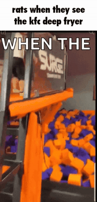 Rats React To KFC Deep Fryer GIF